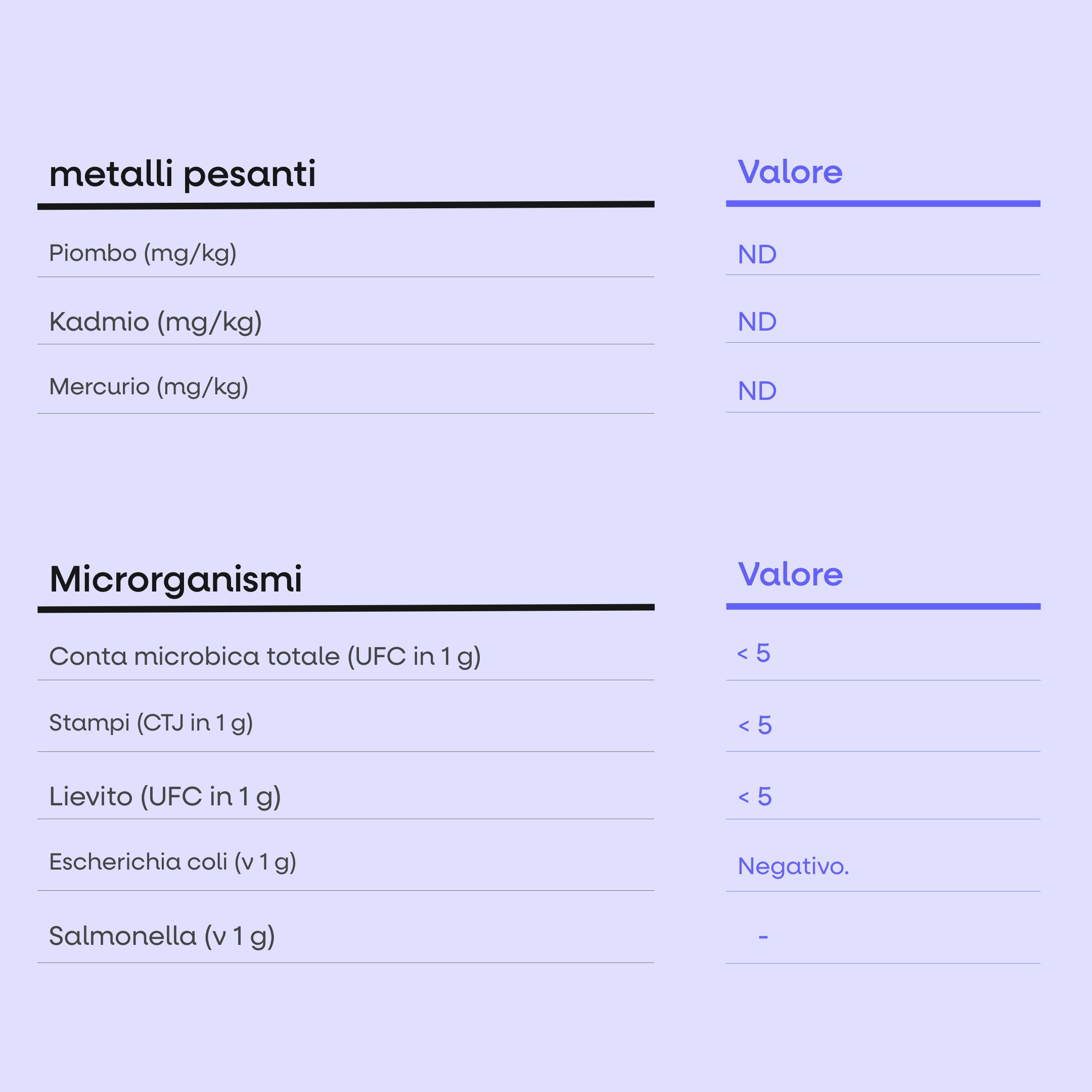 (Italština) - 2025-10-21T133201.400